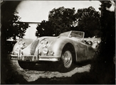 XK Jaguar XK Collodion Wet Plate Ambrotype 18x24cm by Daniel Samanns 005